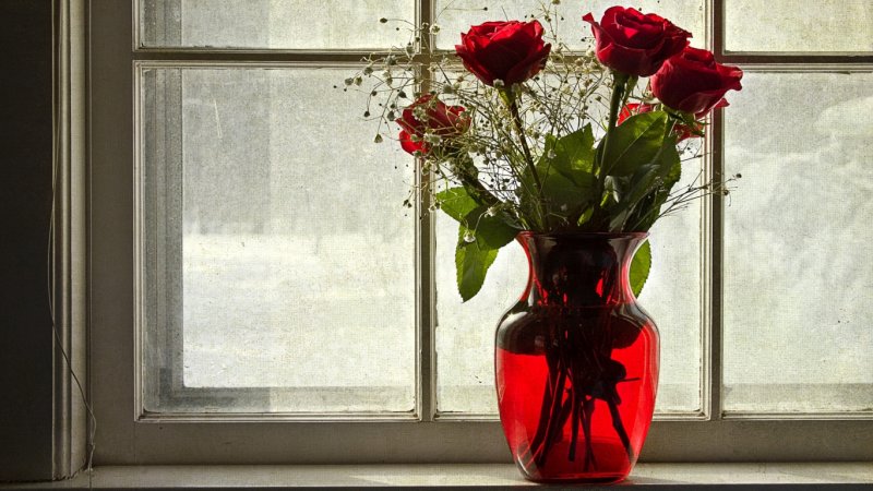Выращиваешь розы на окне какой это рассказ?