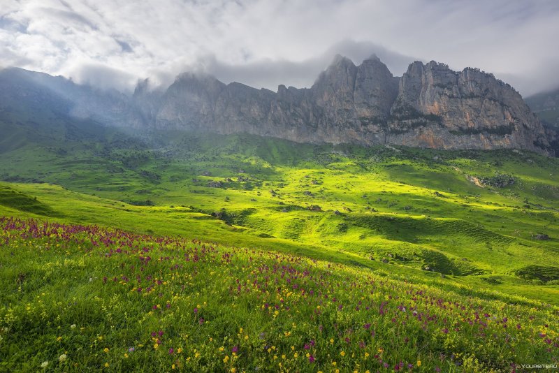 Альпийский луг Южная Осетия