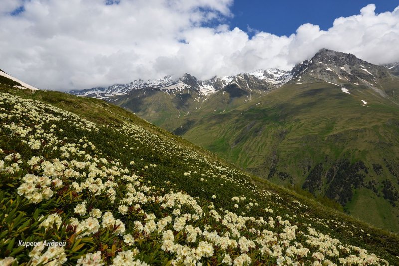Северная Осетия горы Альпийские Луга