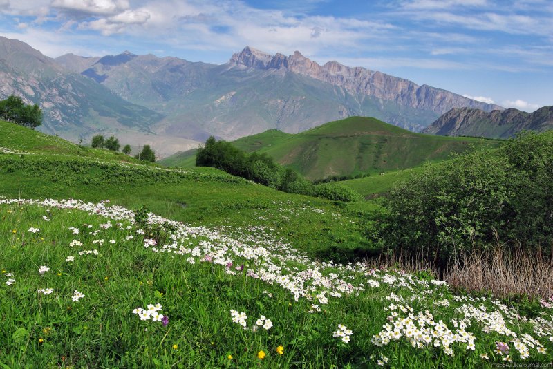 Северный Кавказ Домбай