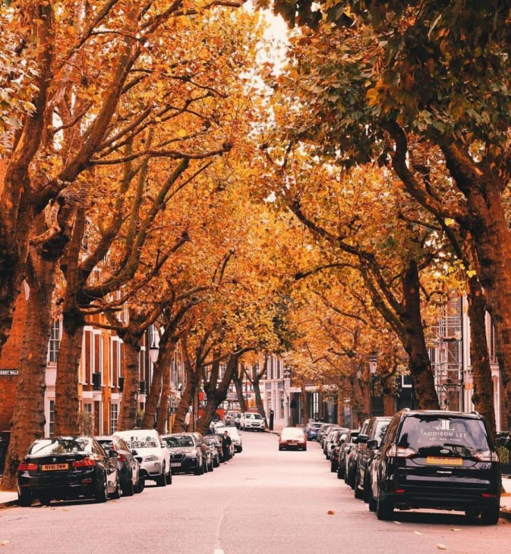 Улицы Лондона осенью