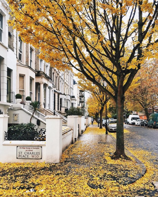Осенний пригород Лондона