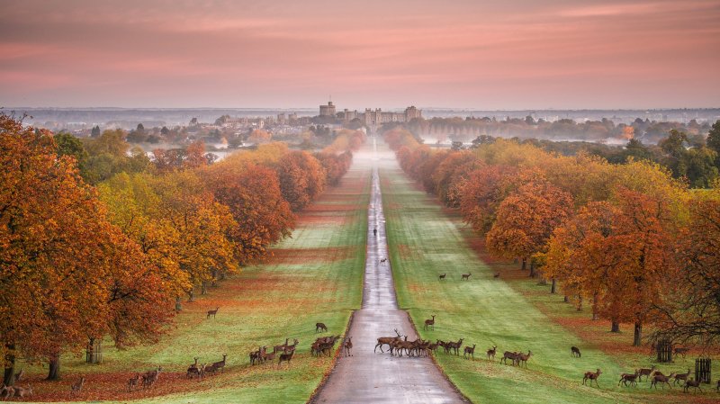 Виндзорский замок Великобритания осень