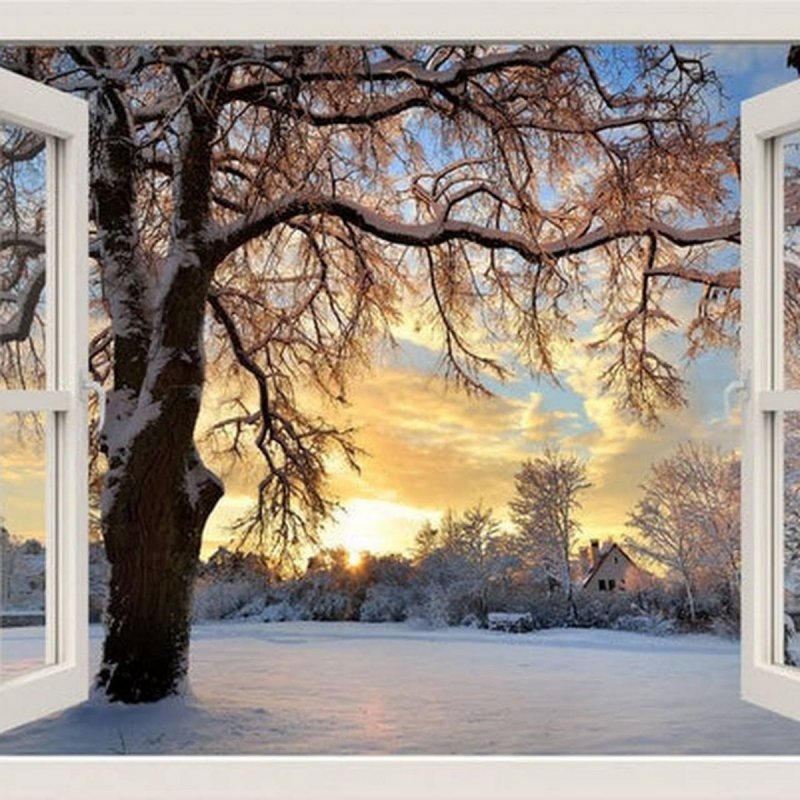 Зимний пейзаж из окна