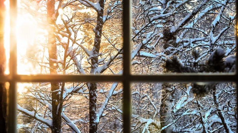 Окно с видом на зиму