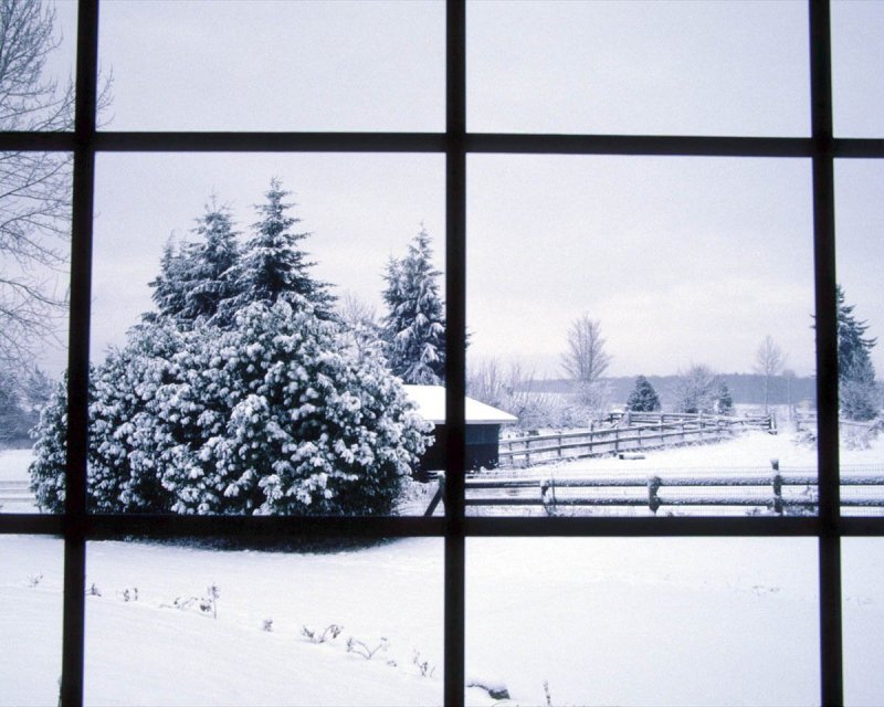 Окно зима
