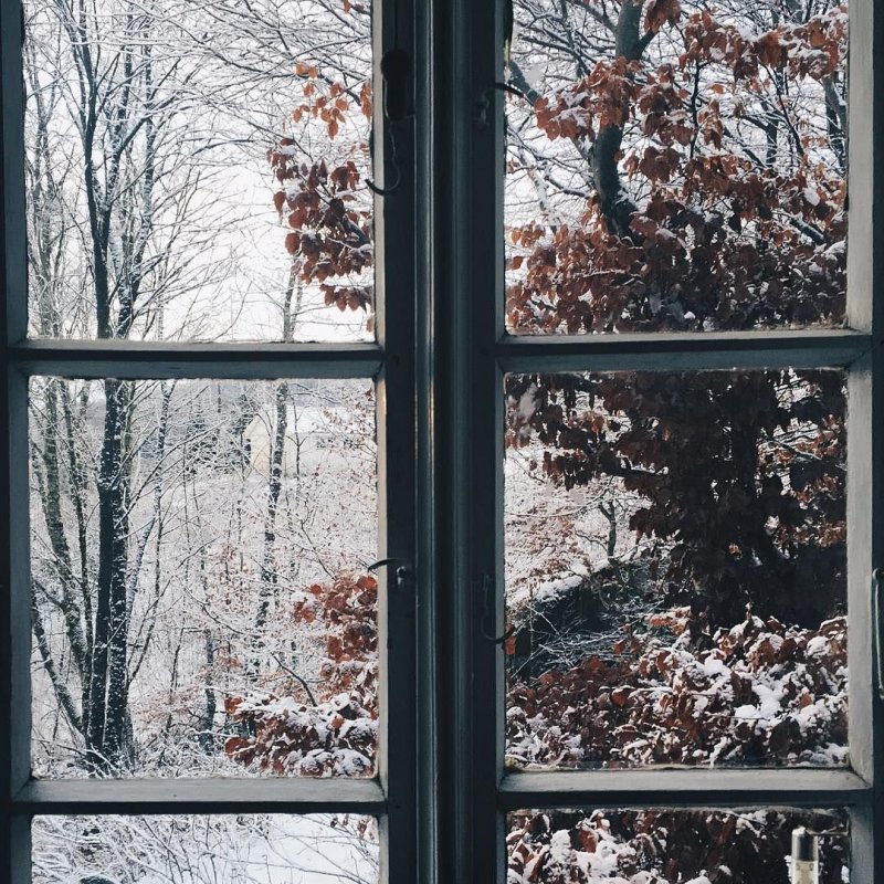 "Вид на зимний пейзаж из окна, 1919 год" Харальд Мольтке