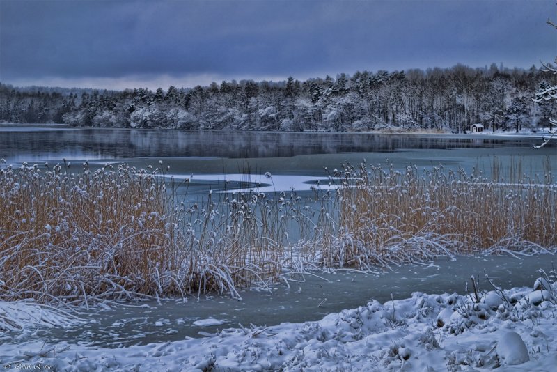 Александровские озера зимой