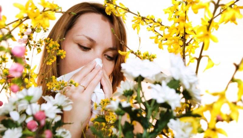 Пыльца растений аллергия
