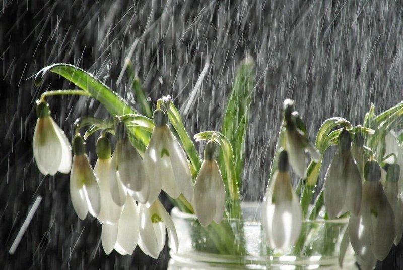 Дождь весной