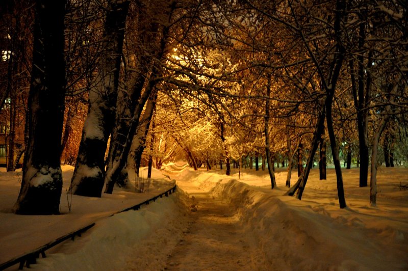 Ночь в зимней Москве