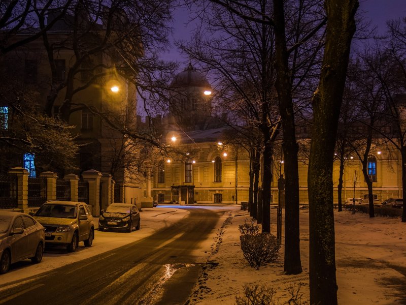 Тифлисская улица Санкт-Петербург