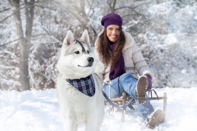 Зимняя фотосессия на улице девушка с собакой