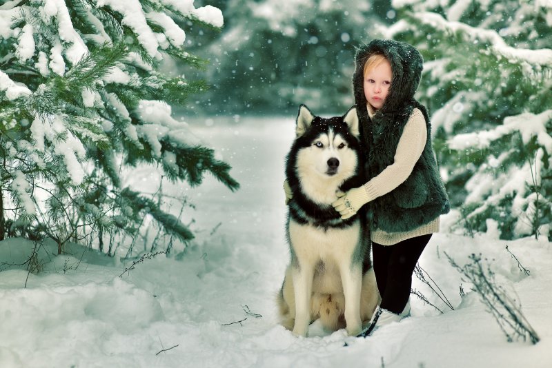 Зимняя фотосессия с собакой