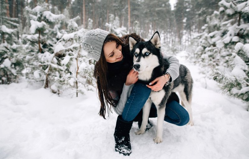 Зимняя фотосессия в лесу с собакой
