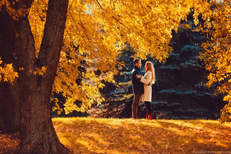 Пара осенью в парке