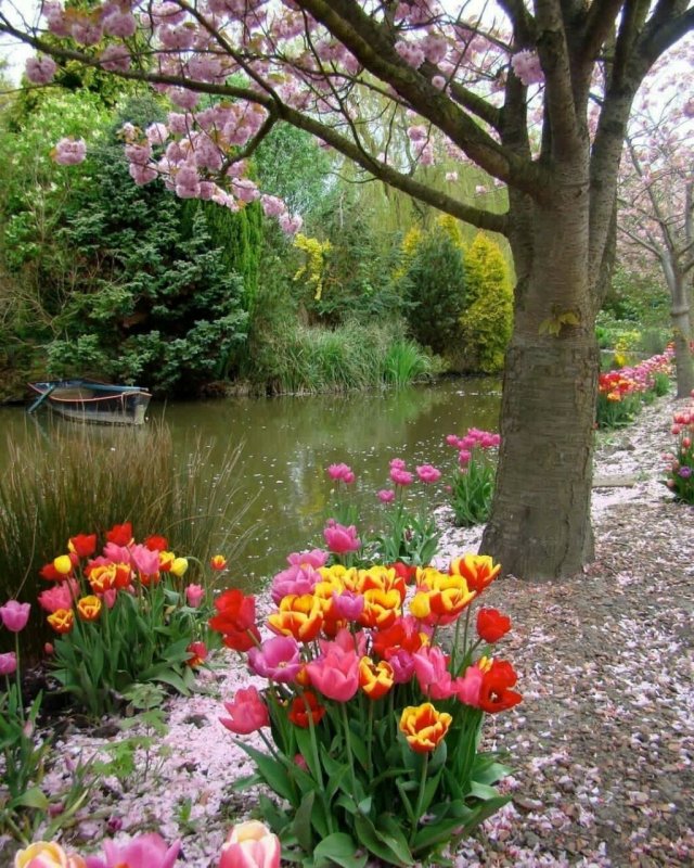 Весенний сад (Spring Topiary Garden)