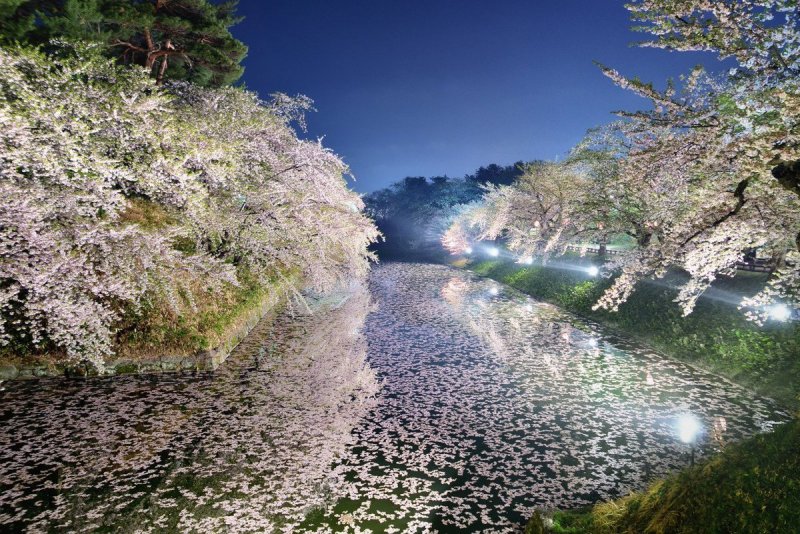 Природа Япония Весна