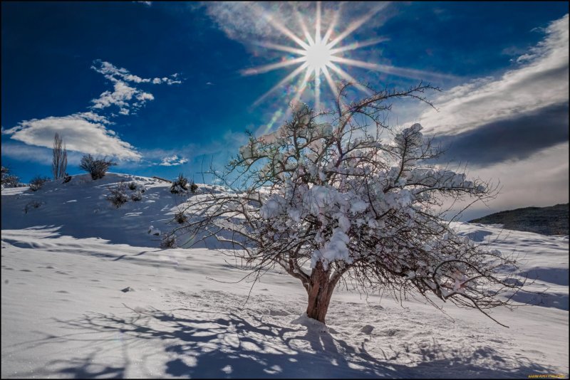 Магаданская природа зима