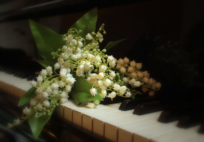 Букет цветов на рояле