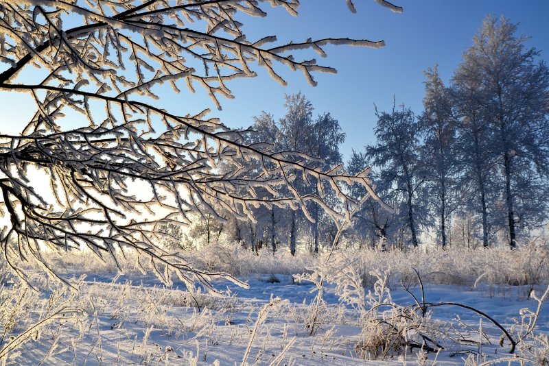 Зима в Оренбургской области