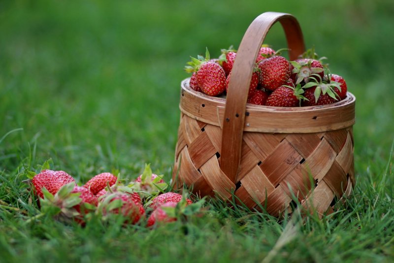 Корзинка с ягодами