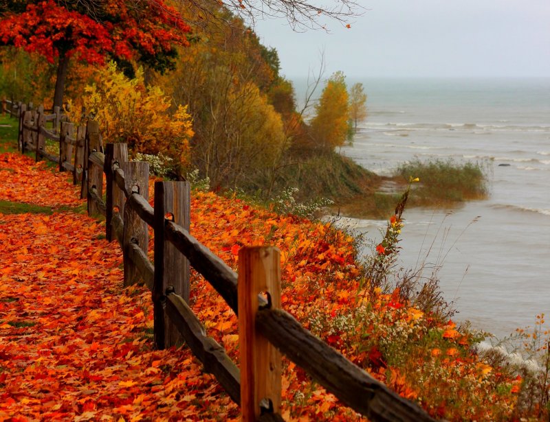 Осенний берег моря