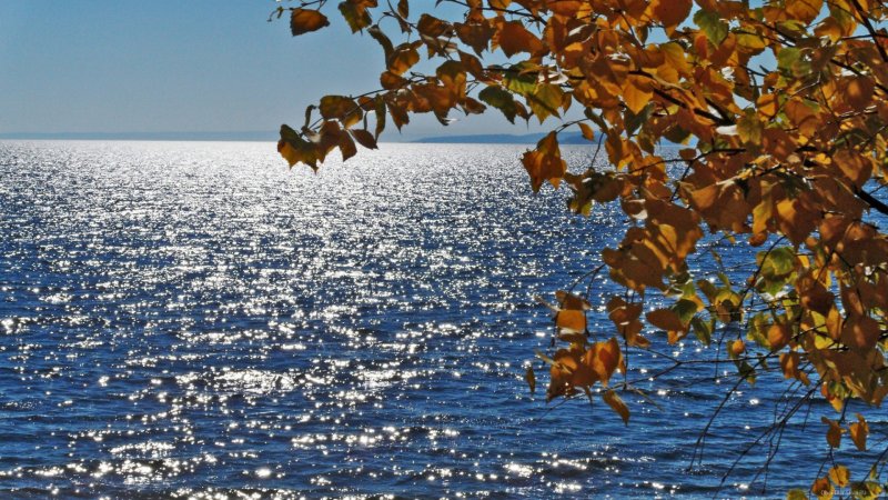 Бархатный сезон на Черноморском побережье