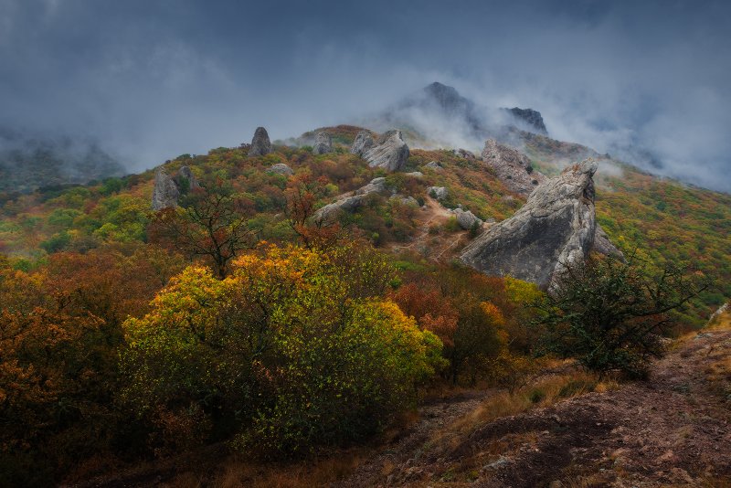 Горы лес Южный берег Крыма