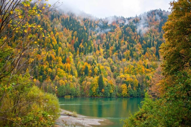 Абхазия Рица осень
