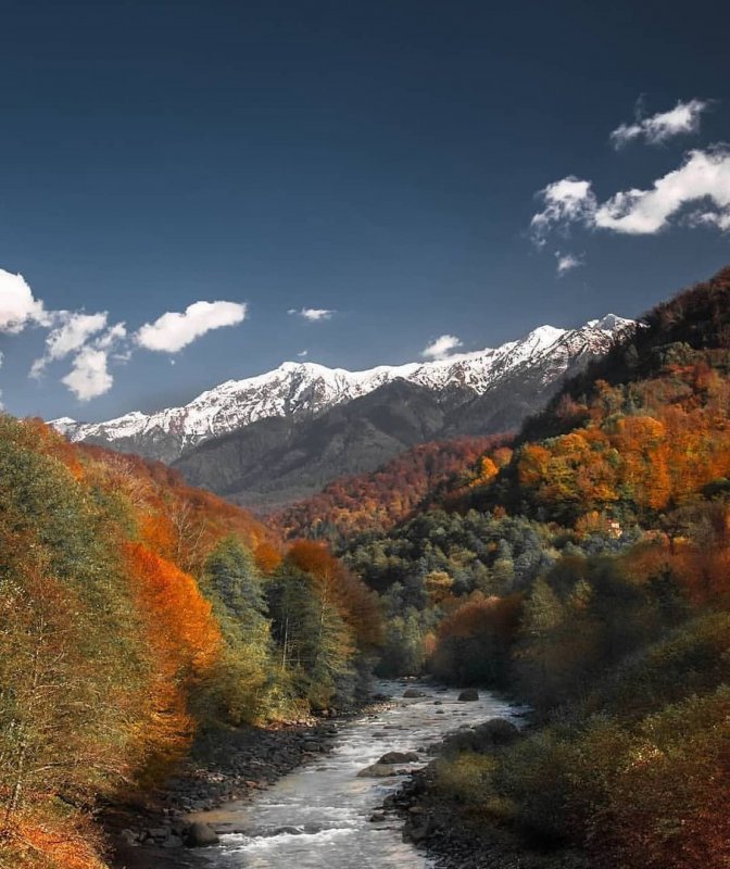 Абхазия Гагры осень