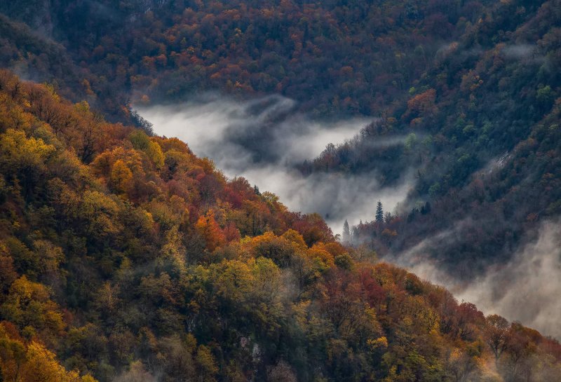 Рицинский национальный парк Абхазия