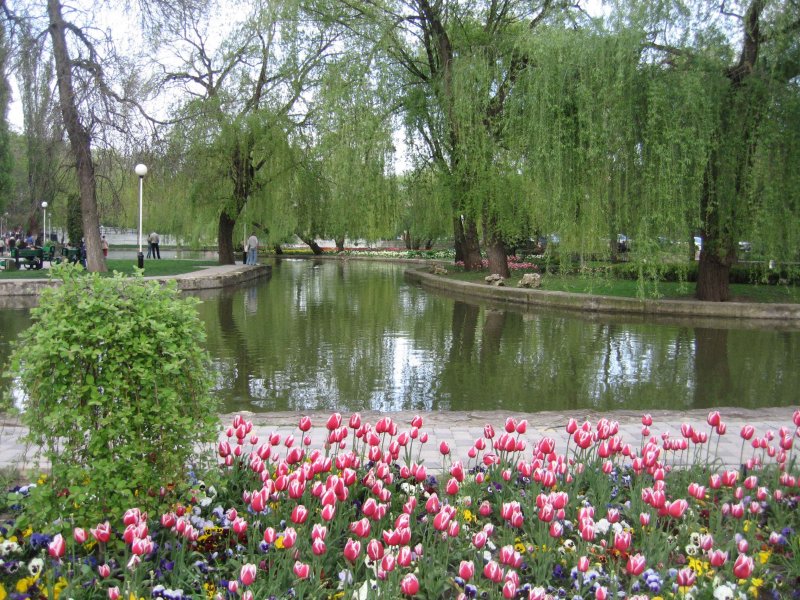 Парк Сакура Волгоград