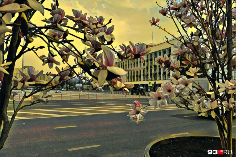Краснодар улицы весной