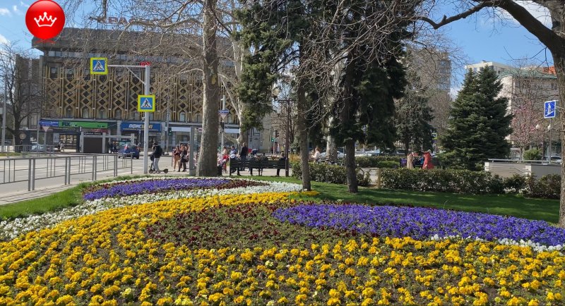 Парк Галицкого в Краснодаре цветение