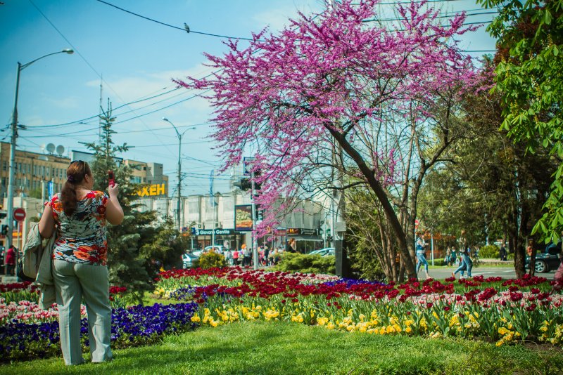 Весна парк Краснодар