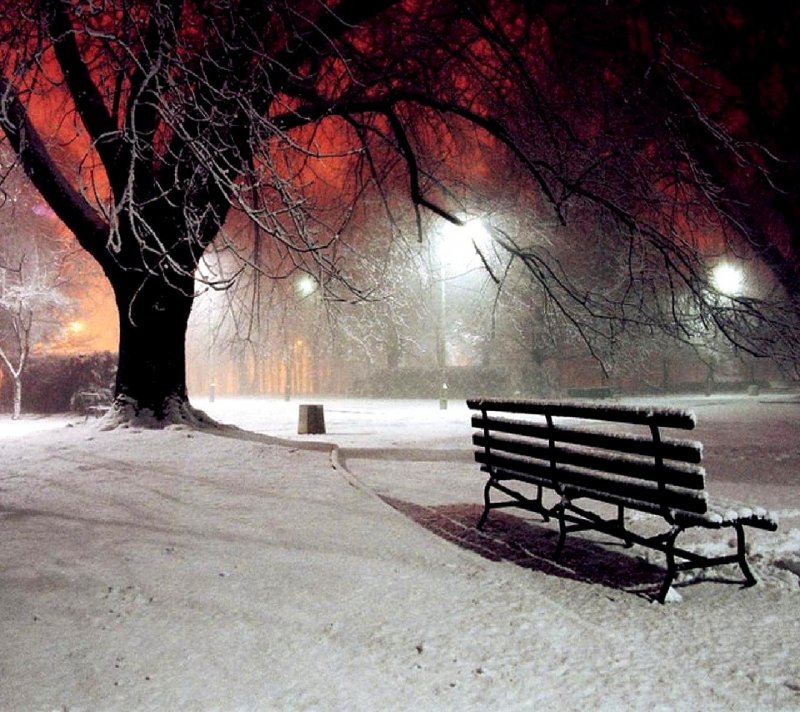 Зимний парк вечером