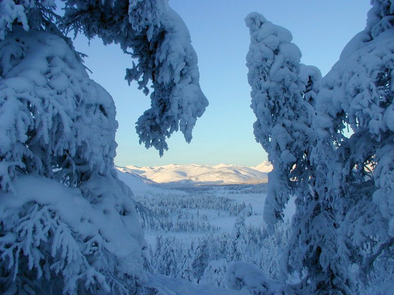 Природа Чукотки зимой