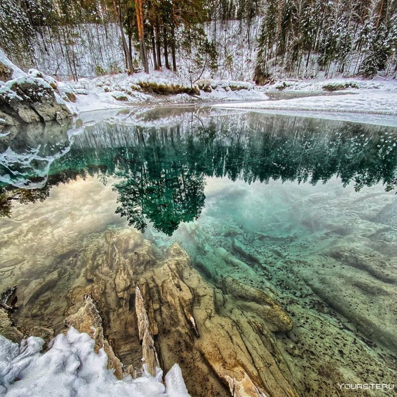 Зима Алтай лес озеро