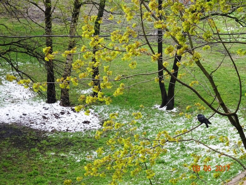 Минск Весна