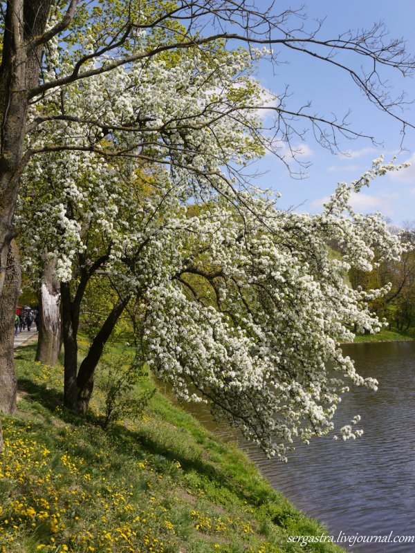 Беларусь весной