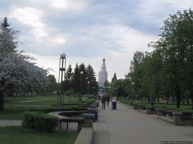 Витебск центр города