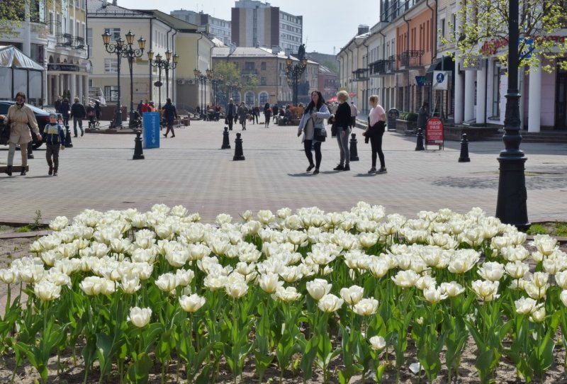 Парк Горького Москва Весна
