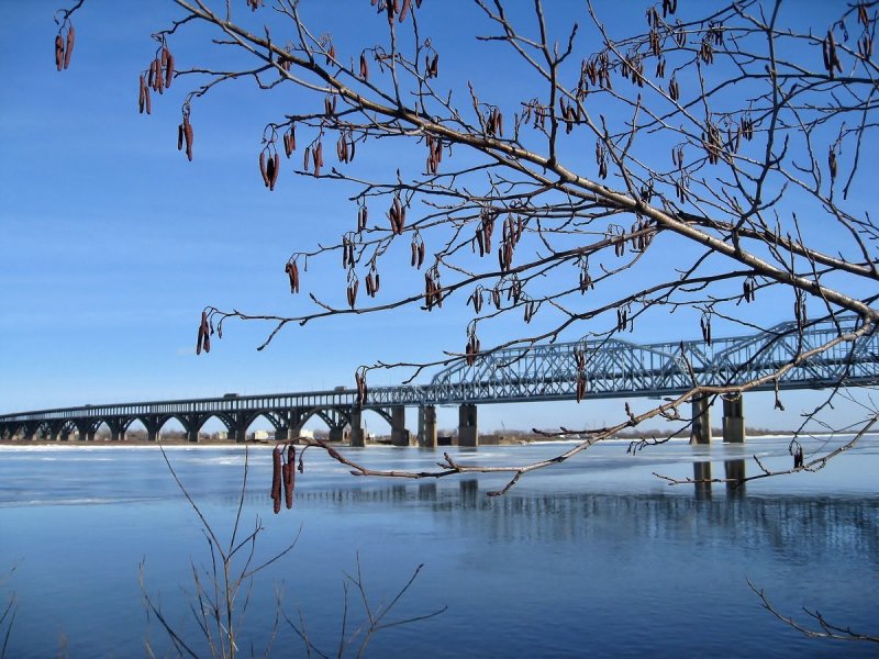 Ульяновская областьпрезедентский мост