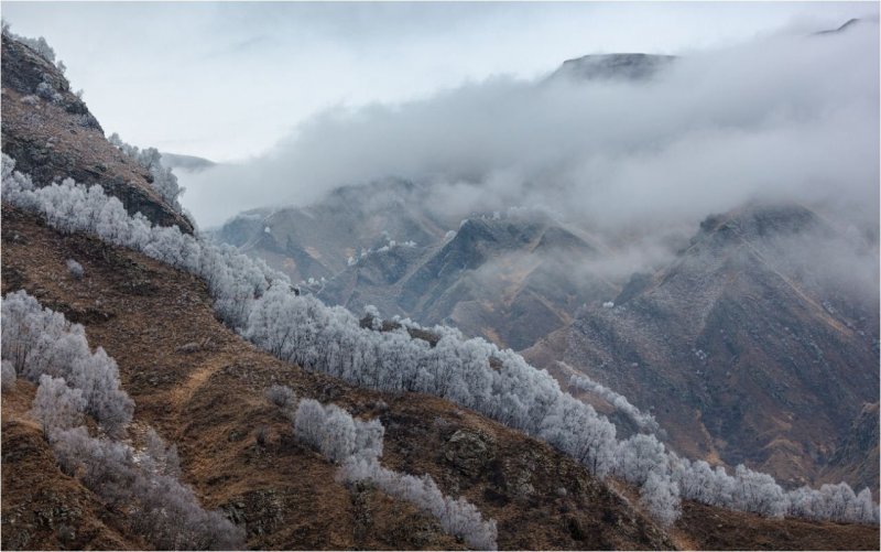 Горы туманные сохры Дагестан