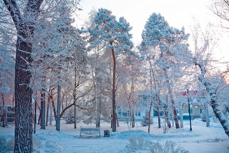 Центральный парк Красноярск зима