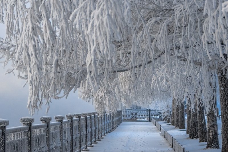 Красноярск Сибирь достопримечательности зимой
