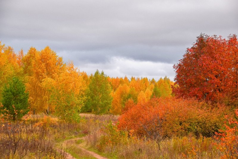 Осень в Мордовии