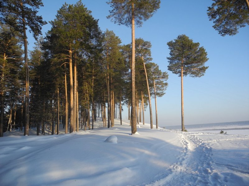 Сосновый Бор зимой в Ленобласти