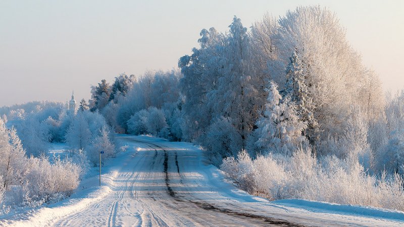 Зимняя природа Новосибирской области